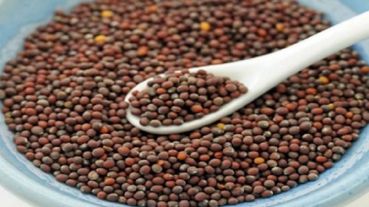 Mustard%20Seeds/%20Sorisa/%20Sorisha%20Dana%20(Red)-%201%20kg%20-%20Image%202