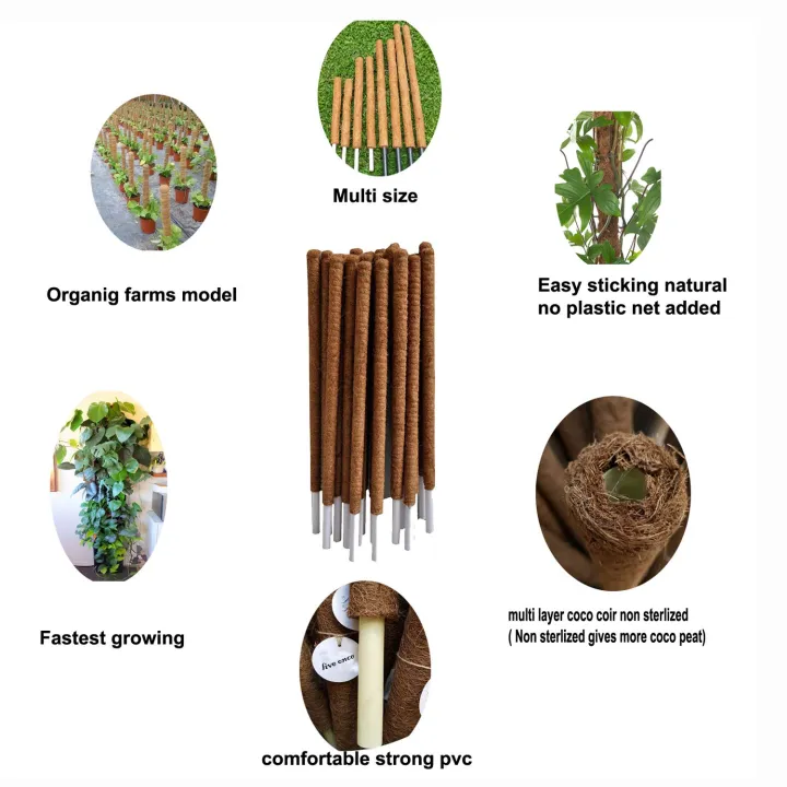 Coconut%20Coir%20Pole/%20Grow%20Strick%20/%20Coco%20Pole%2024"%20-%20Image%203
