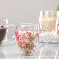 Dried Flower Double Walled Glass Mug 350ml Coffee Mug with Dry Flowers Decorative and Creative Flower Mug Double Wall Flower Cup.