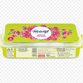 Fevicryl Acrylic Color Kit (10 Colours x 15 ml).