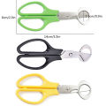 pigeon Quail Egg Scissor Bird Cutter Opener Egg Slicers Kitchen Tool Clipper.