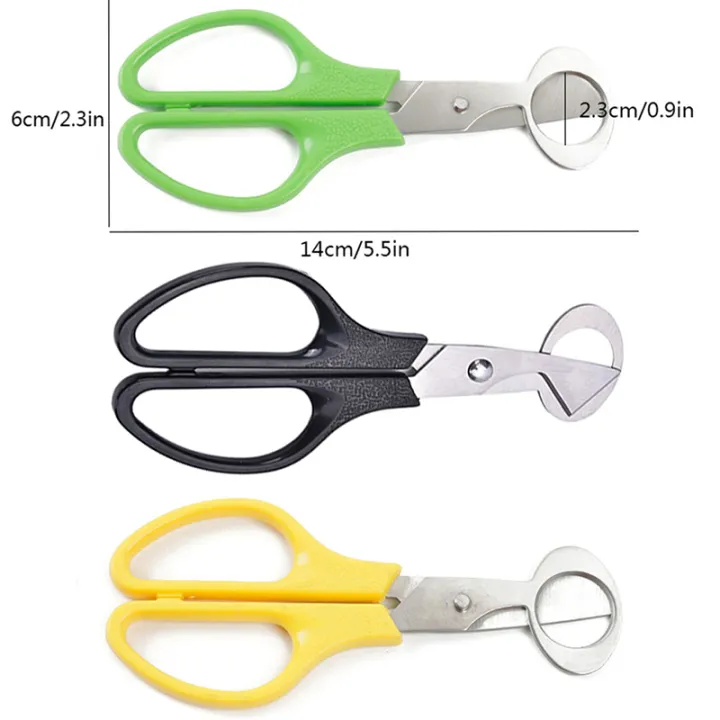 pigeon%20Quail%20Egg%20Scissor%20Bird%20Cutter%20Opener%20Egg%20Slicers%20Kitchen%20Tool%20Clipper%20-%20Image%207