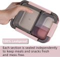 Derisory Removable Inner Stainless Steel Plate Lunch Box - 2 Compartments 750 ml (Multicolor). 
