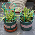 Plastic Plant Support Pile Half Round Climbing Vines Stake Bonsai Fixing Rod Garden Plant Stake Holder Flower Ring Support Rack.