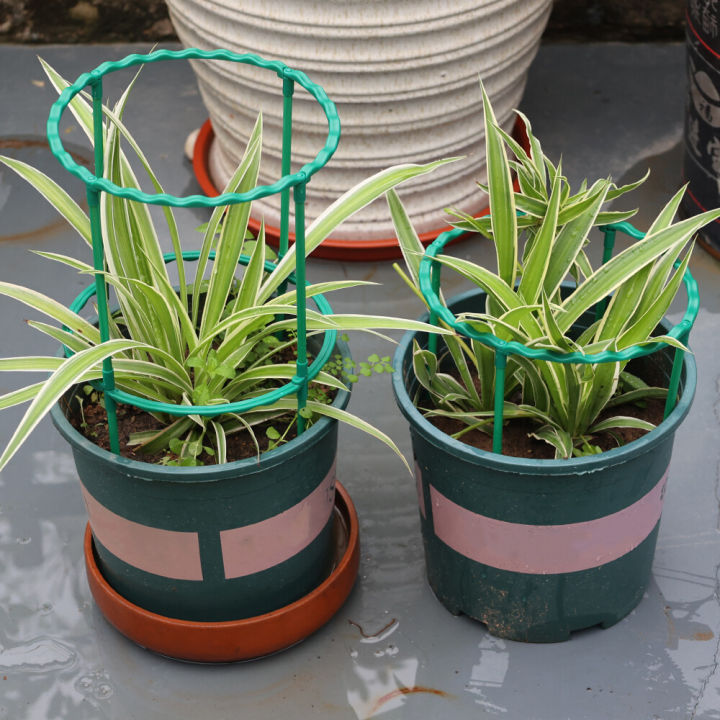 Plastic%20Plant%20Support%20Pile%20Half%20Round%20Climbing%20Vines%20Stake%20Bonsai%20Fixing%20Rod%20Garden%20Plant%20Stake%20Holder%20Flower%20Ring%20Support%20Rack%20-%20Image%207