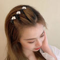 Hairpin Side Bangs Clip Ladies Girls Fixed Shape Clip Women Hair Accessories Nicle. 
