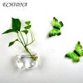 Exceotional Quality - ECHIDNA Flower Planter Pot Water Drop Wall Hanging Glass Flower Vase - Sustainable Option - Expression of Yourself.