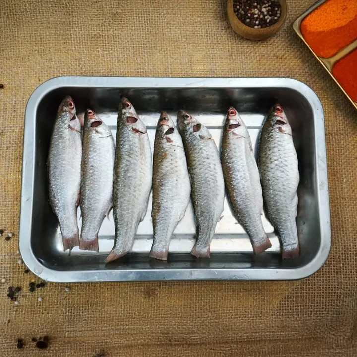 Parshe%20(Clean)%20%E2%80%93%20500g%20%7C%20Fresh%20&%20Delicious%20%7C%20Premium%20Quality%20Fish%20-%20Image%204