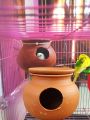 Pot mud House with Lid for Egg Laying and Breeding for Budgies Love Birds with Flat Standing Bottom (15cm, Red Brown) - Indoor, 1 Piece.