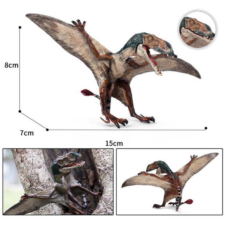 NYT%20Realistic%20Pterodactyl%20Dinosaur%20Action%20Figurine%20Model%20Desktop%20Decor%20Kids%20Toy%20Gift%20-%20Image%202
