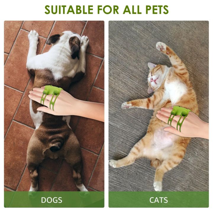 2Pcs%20Pet%20Cat%20Hair%20Removal%20Massage%20Comb%20Cats%20Scratching%20Rubbing%20Brush%20kitten%20Grooming%20Self%20Cleaning%20Wall%20Corner%20Cat%20Scratcher%20-%20Image%205