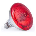 10 pcs Infrared Heating Lamp 250w - Breeding Heat Bulb Pet Brooder Hatch Chicken Pig Animals Infrared Heating Bulb. 