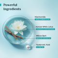 Pilgrim Korean Oil free Gel Moisturizer for oily skin with Hyaluronic Acid & Willow Bark Extracts Moisturiser for face Suitable for Oily & Acne-Prone Skin Men & Women Korean Skin Care 50gm. 