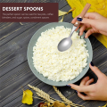 Wooden handle western food spoon Household ice spoon condiment salt spoon Kitchen spoon. 