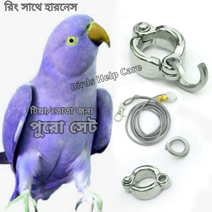 Tia%20Pakhi%20Jonno%20Harness%20With%20China%20Ring%207MM%201PCS%20-%20Image%202