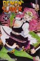Demon Slayer: Kimetsu no Yaiba without Box Set (Volumes 1–23). 