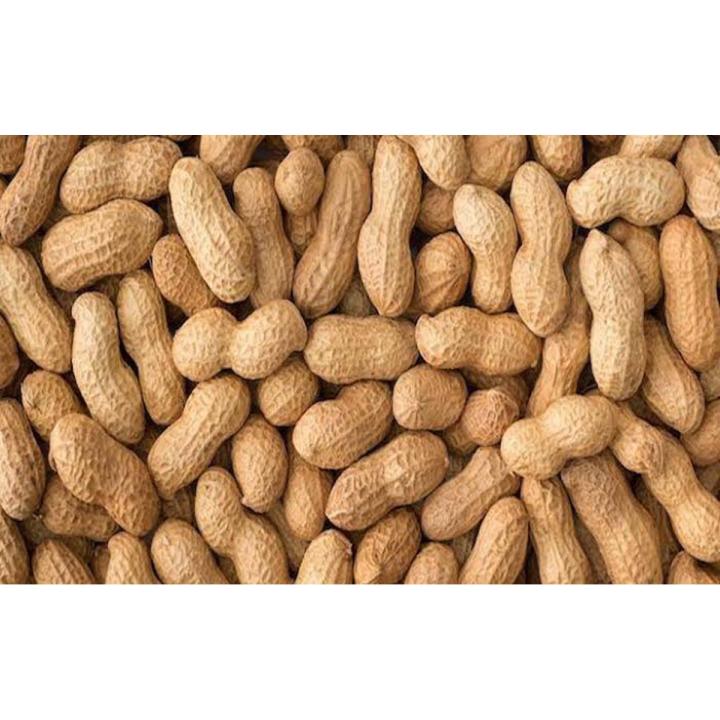 Kacha badam premium 1kg