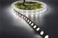 5m 12V Double Color 5050 / 5025 LED Strip DC12V Flexible Tape, CW/WW Dual White in 1 Chip Color Temperature Adjustable CCT Strip. 
