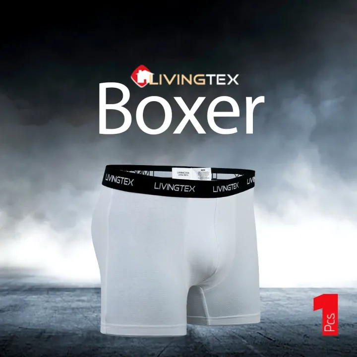 Pack%20of%203%20Pieces%20Premium%20Cotton%20Boxer%20Underwear%20for%20Men%20_%20Livingtex%20Branded%20Underwear%20For%20men%20_%20Best%20Combo%20For%20Men's%20-%20Image%206