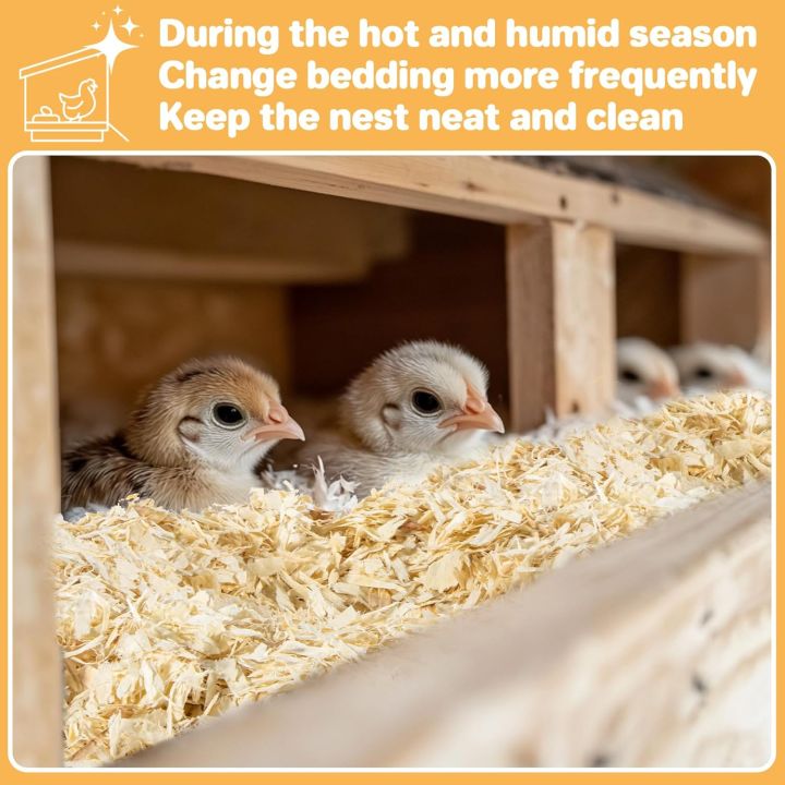 Chicken%20coop%20Bedding%20-%20Aspen%20shavings%20Animal%20Bedding%20as%20Chicken%20Supplies%20for%20Chicken%20House%20Bedding%20winterizing%20Nesting%20for%20Small%20pet%20Guinea%20Pig%20Rabbit%20Chinchilla%20Bird%20Gerbil%20Odor%20Control%20-%20Image%204