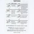 30pcs Chinese Statement Temporary Tattoo Stickers. 