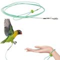 Birds leg chain harness cocatail,conure,ringneck tiya,love bird etc.