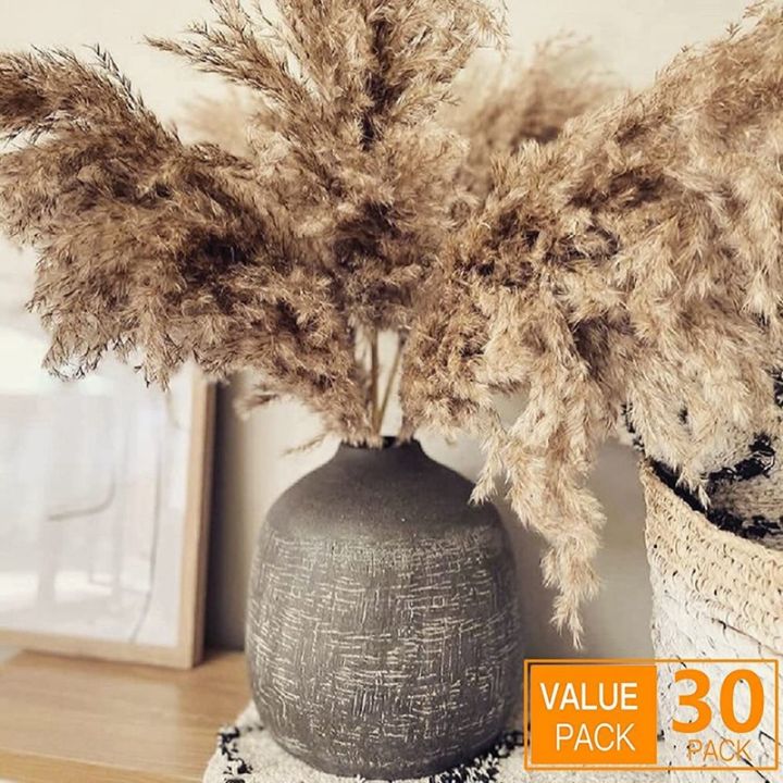 【linfang store】17.72Inch Dried Pampas Floral Decor Pampas Grass Stems Small Pampas Bulk Natural Pampas Short