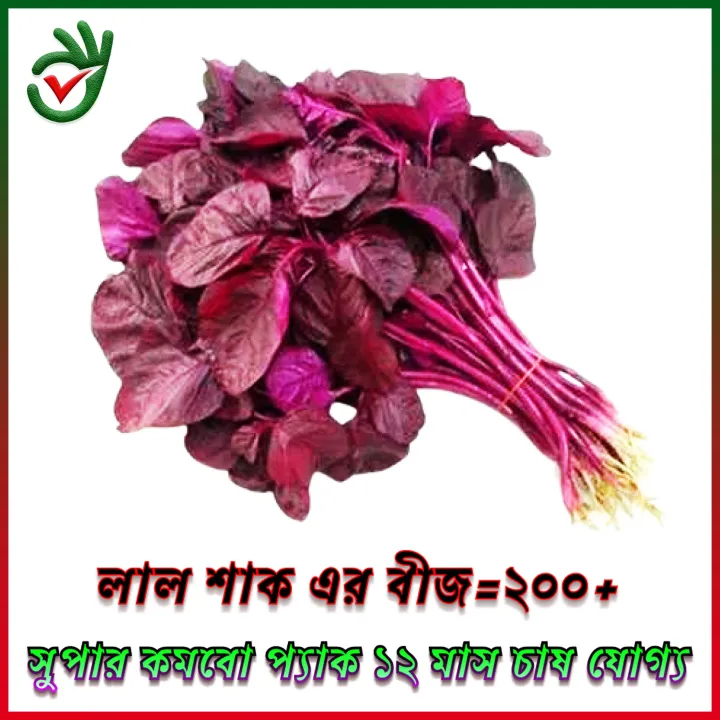 Lal%20Shak%20/%20Kolme%20Shak%20/%20%20Data%20Shak%20/%20Ghi%20kancon%20Shak/Hybrid%204%20type%20shak%20seed%20combo%20pack%20800+pice%20-%20Image%203