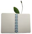 IR Stationeries graphic spiral mini pad with ruling 65 pages and peach silicon toy. 