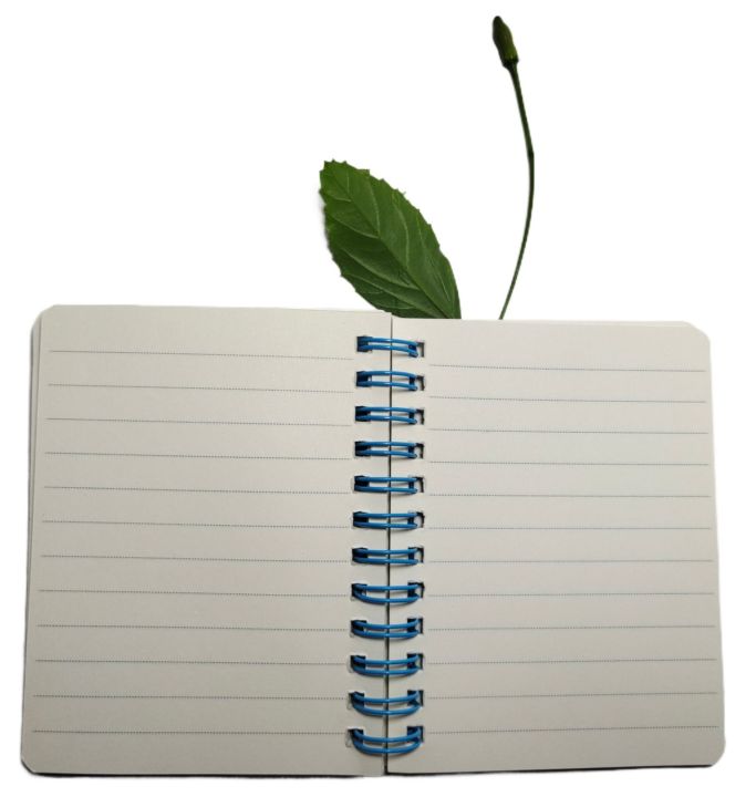 IR%20Stationeries%20graphic%20spiral%20mini%20pad%20with%20ruling%2065%20pages%20and%20peach%20silicon%20toy%20-%20Image%202