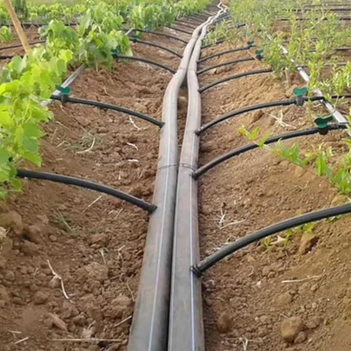Hose%20Connector%201/2%20inch%20%20to%2010mm%20for%201/2%20inch%20Any%20Sprinkler%20-%20Gardening%20Irrigation%20Accessories%20Female%20Thread%20Support%20for%20Sprinkler%20fittings%20-%20Image%205