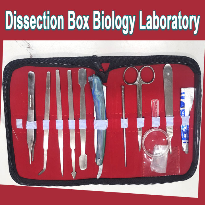 Dissection%20Box%20/Biology%20Laboratory%20for%20Medical%20Students%20Anatomy%20Laboratory%20Use%20-%20Image%204