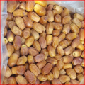 Zahidi dates - 1 kg healthy food. 