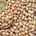 Soybean Seeds(Soybean dana) 500 gm. 