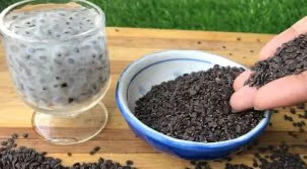 Tokma%20Dana%20/Basil%20Seed(Clean%20)-250%20gm%20-%20Image%205