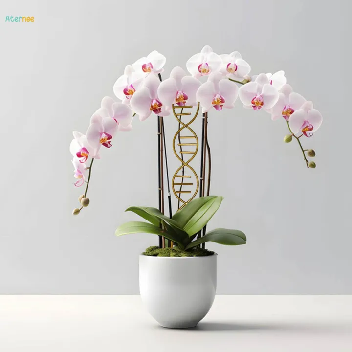 Plant%20Trellis%20Decorative%20Plant%20Cages%20Garden%20Trellis%20Flower%20Pots%20Support%20for%20Vegetables%20Vines%20-%20Image%206