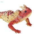 Mini Figurines Model Collection Birthday Gift Soft Reptile Toys. 