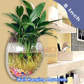 Wall aquarium bowl | Wall hanging fish tank 8x8 inch. 