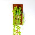 Wall flower Vase of natural wood and glass for office and living room. (with & without plant).
