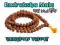 Rudraksha Mala Beads for Men And Women Spiritual Energy Healing Jewelry Lucky Charm Protection Good Luck Attraction. 