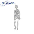 Portable Skull Prop Attractive Plastic Funny Halloween Luminous Skeleton Body Toy Sculpture for Festival. 