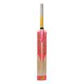 Cricket Bat - Multi Color.