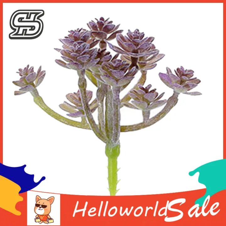 Artificial%20Succulents%20Wide%20Application%20Photography%20Props%20Fake%20-%20Image%202