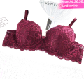 Sexy Bra Foam & Net Bra Pushup Bra - Bra. 