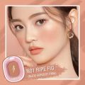 Pink Flash-Chic In Cheek Blush – Ripe Fig - N01.