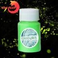 (New)Vit Fox Luminou Powder Durable Glow in The Dark Luminou Paint Bright Pigment.