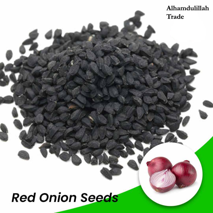 Onion Seeds - 100 pcs Imported F1 Hybrid Spring Cut Bunching
