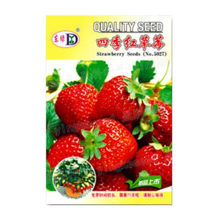 Exceotional%20Quality%20-%20Organic%20Red%20Strawberry%20Seed%20-150%20+%20PC%20Seed%20(imported%20global%20seeds)%20-%20Sustainable%20Option%20-%20To%20Exprerience%20Greatness%20-%20Image%205