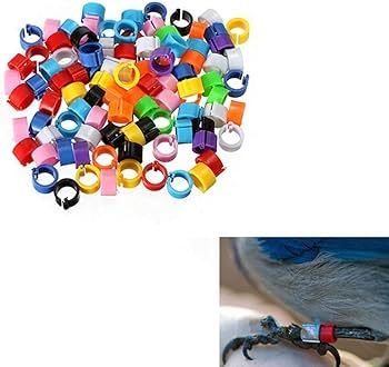 Beauty Bird Ring And Pigeon Foot Ring Set Fashionable Accessory for Women Jewelry