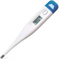 Digital Thermometer. 
